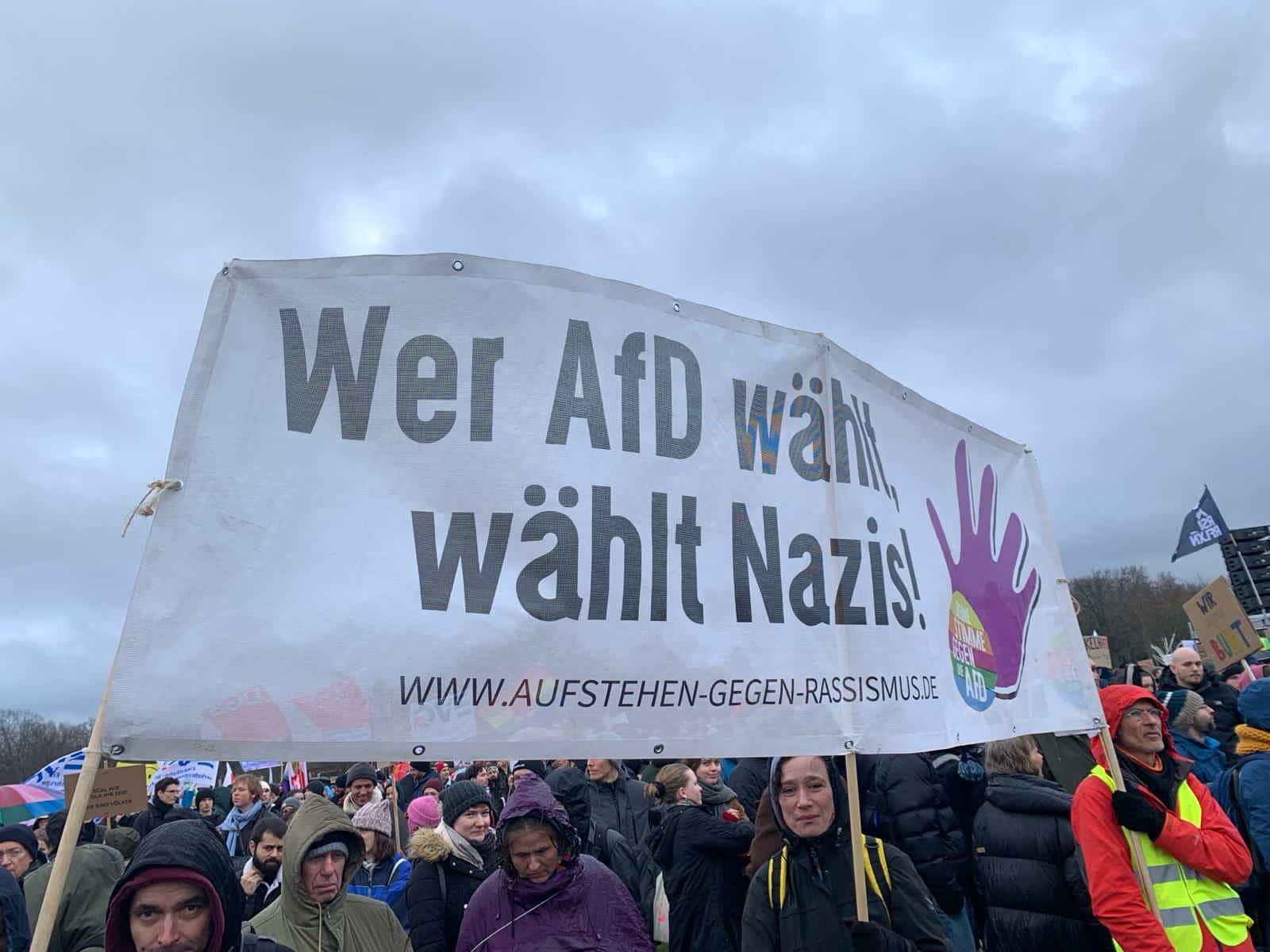 AfD support falls after plans for mass deportations spark demos across Germany