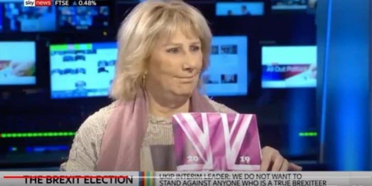 UKIP fallout: Party Director Pat Mountain runs for the hills…