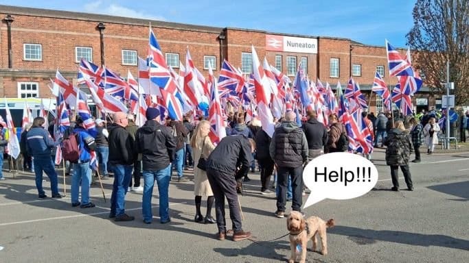 The sum total of Britain First’s Nuneaton gathering… with one reluctant canine attendee.
