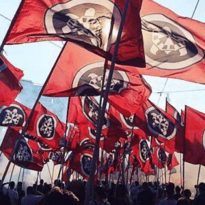 Casapound flags