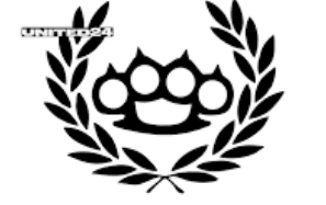 NS/WP logo